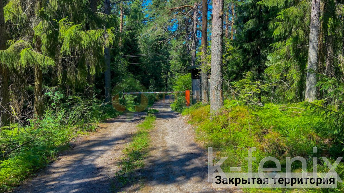 участок 12 сот